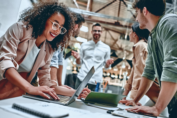 WSI Partner Program business collaboration and software development support